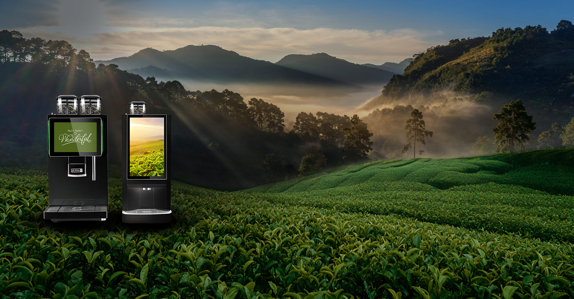 鮮萃現飲，即享茶真味